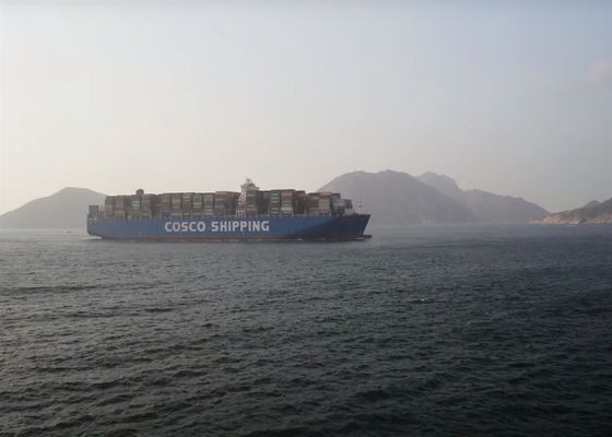 Cheap Sea Shipment Rates Freight Forwarder from China to  Philippines